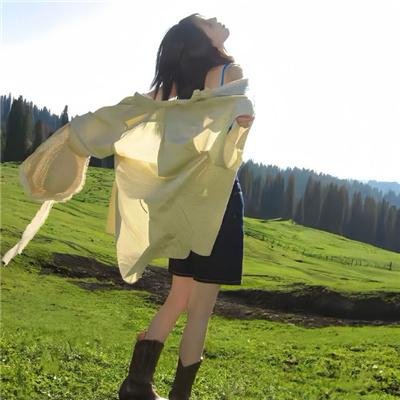 蔷薇风暴